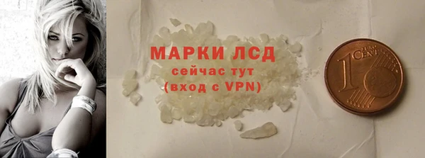 спайс Корсаков