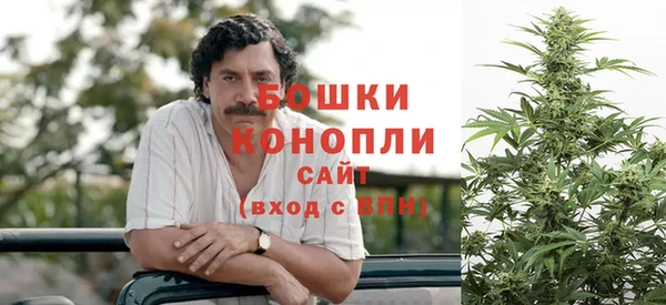спайс Корсаков