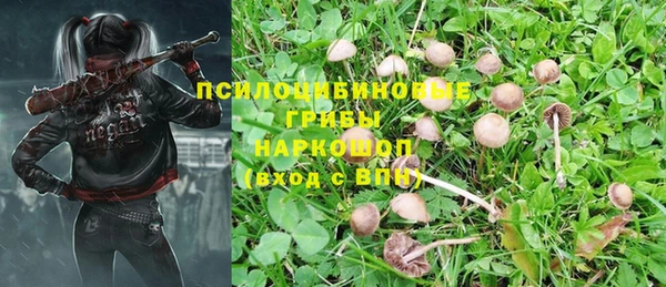 хмурый Коряжма