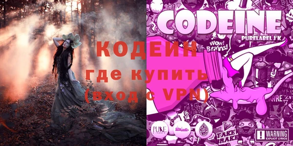 спайс Корсаков